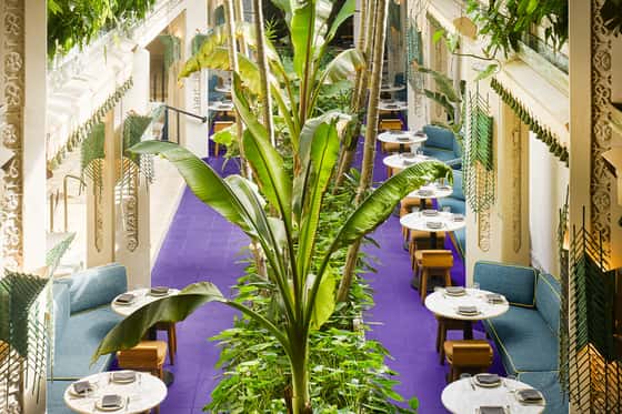 Mayfair House Hotel and Garden