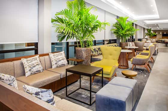 Wyndham Garden Fort Lauderdale Airport & Cruise Port