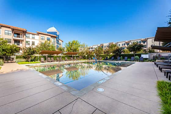 Sheraton Stonebriar Hotel
