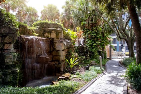 Delta Hotels by Marriott Orlando Celebration