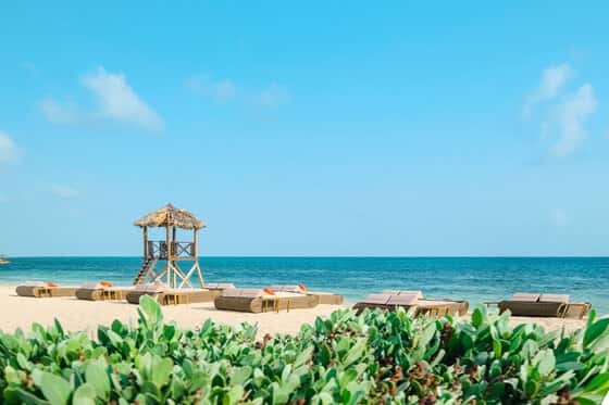 JOIA Rose Hall by Iberostar