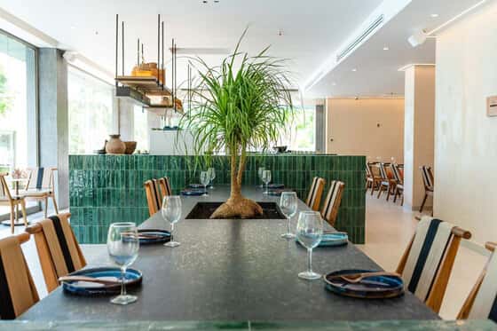 Motto By Hilton Tulum
