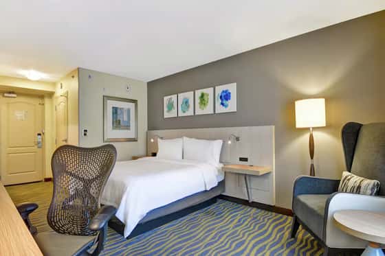 Hilton Garden Inn Lake Buena Vista/Orlando