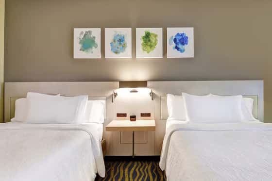 Hilton Garden Inn Lake Buena Vista/Orlando