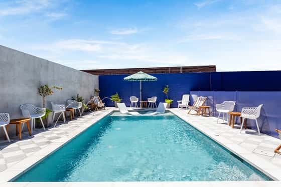 The Iris Motel
