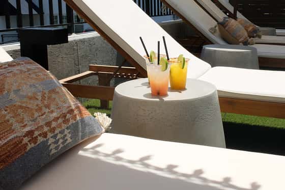 Brut Hotel