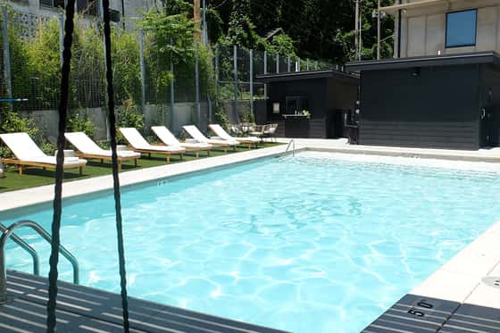 Brut Hotel