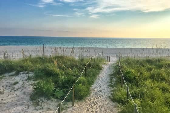 The Fold – Indian Shores
