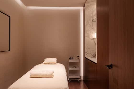 Intuisse Spa at Maison Hudson