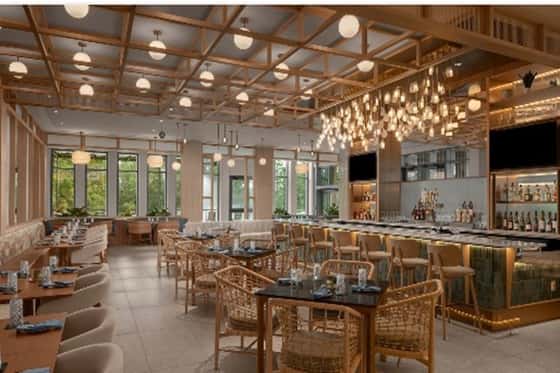 Hilton Jacksonville at Mayo Clinic