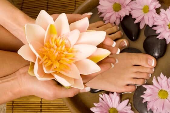 Spa Reveil