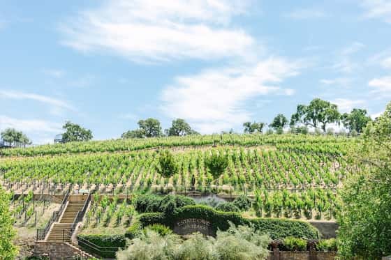 The Meritage Resort & Spa