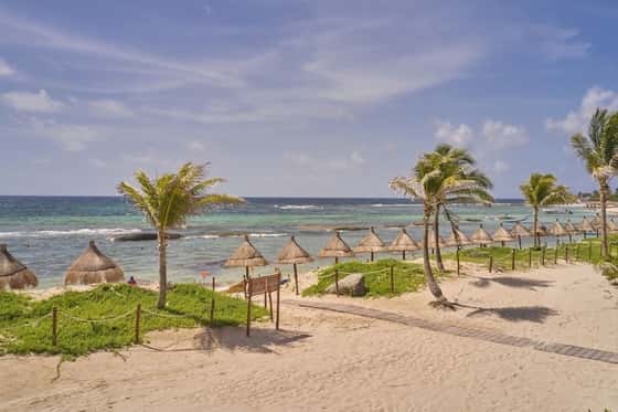 Bahia Principe Grand Tequila - All-Inclusive, Adults-Only Resort