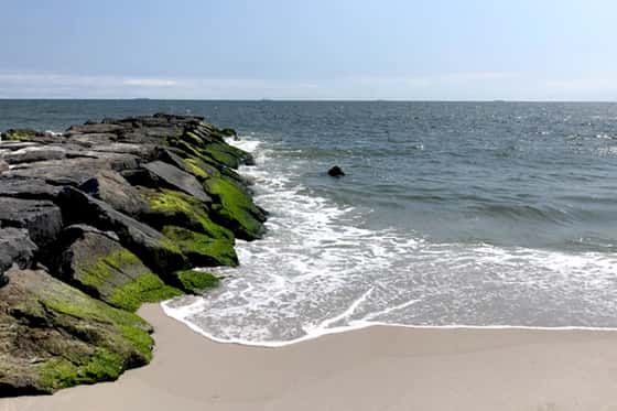 The Shores West at Atlantic Beach