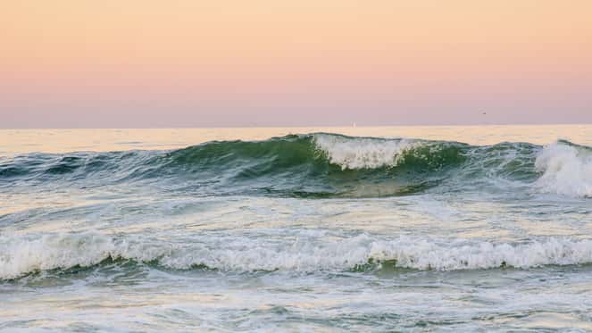 Wave Resort