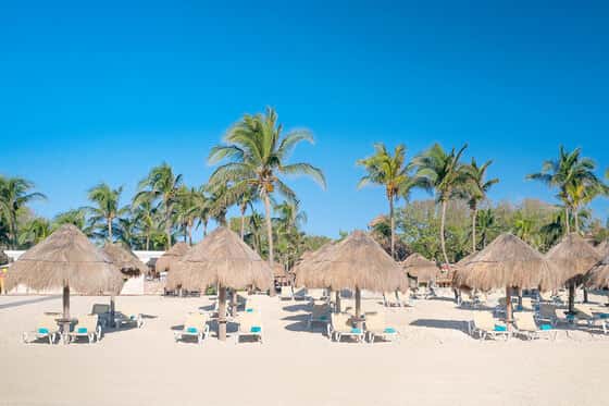 Iberostar Waves Tucán - All Inclusive
