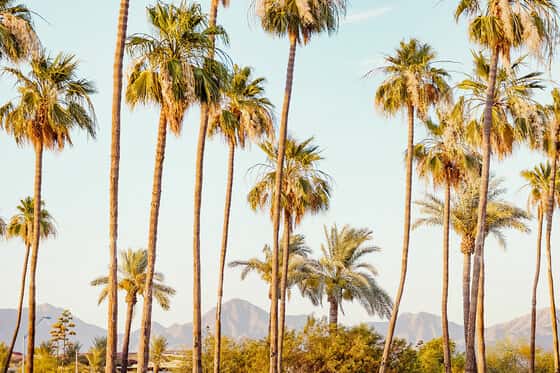 Kimpton Miralina Resort & Villas