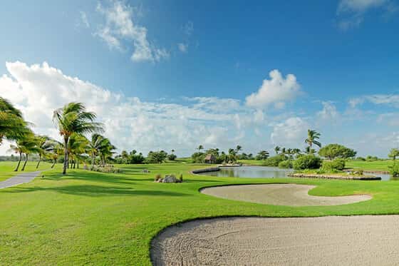 Iberostar Selection Coral Cancún - All Inclusive