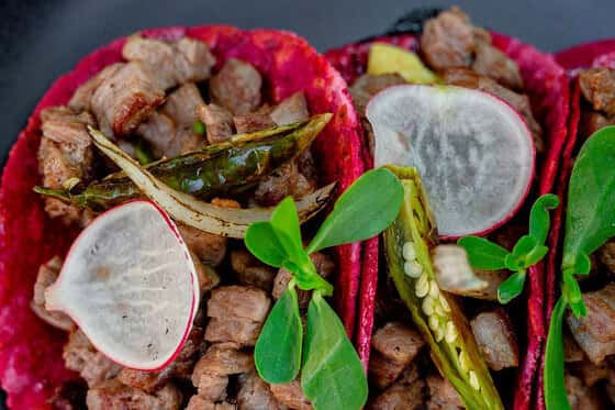 Tago Tulum By G Hotels