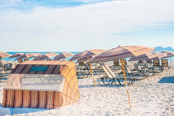 National Hotel Miami Beach