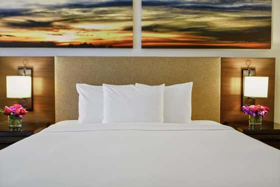 Hilton Dallas/Park Cities