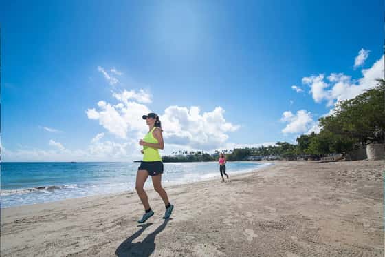 Cofresi Palm Beach & Spa, An All Inclusive Resort