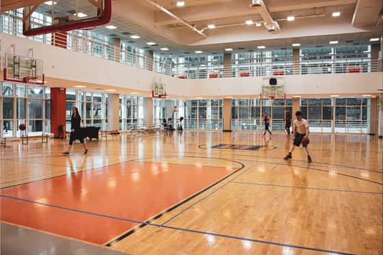 Lakeshore Sport & Fitness Illinois Center