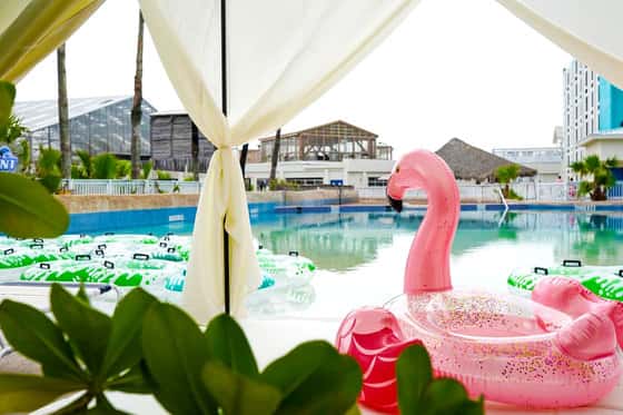 Holiday Inn Resort South Padre Island - Beach Front