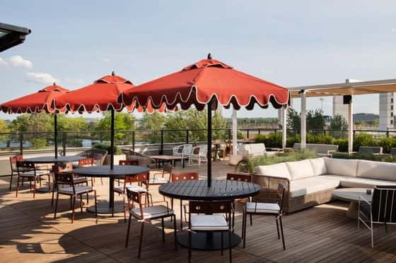 Roost Baltimore