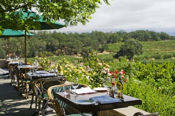 Francis Ford Coppola Winery