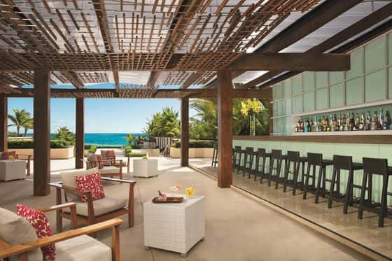 Secrets The Vine Cancun, Adult All-Inclusive
