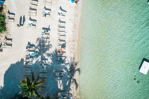 Baker's Cay Resort Key Largo, Curio Collection by Hilton