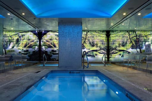 Naturopathica Spa & Healing Center The Chatwal