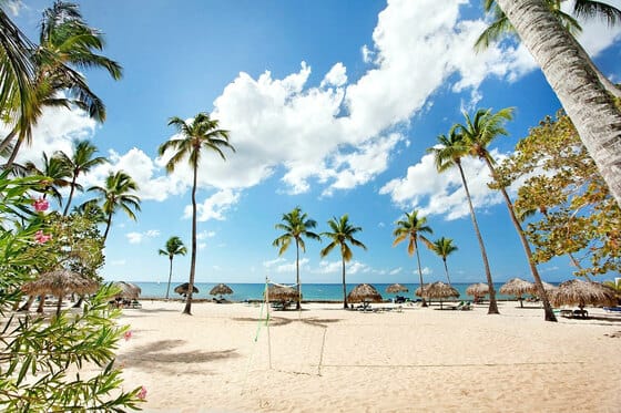Viva Dominicus Beach by Wyndham - All Inclusive