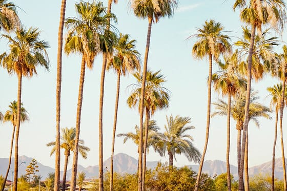 The Scottsdale Plaza Resort