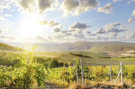 Grand Reserve at The Meritage