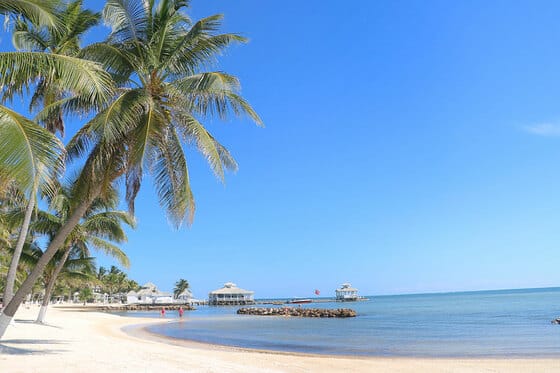 Alaia Belize, Autograph Collection