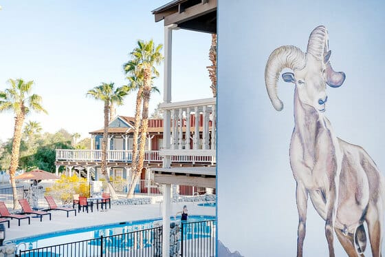 Palm Canyon Hotel & RV Resort