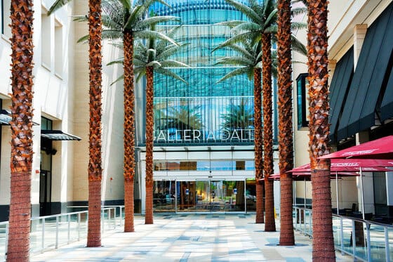 Sheraton Dallas by The Galleria 