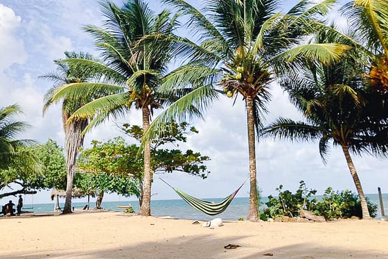 Lost Reef Resort