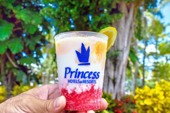 Tropical Deluxe Princess - All Inclusive