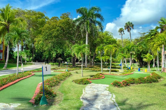 Caribe Deluxe Princess - All Inclusive