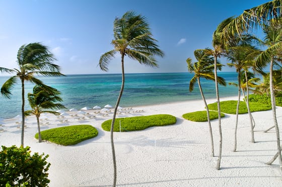 The Westin Puntacana Resort & Club