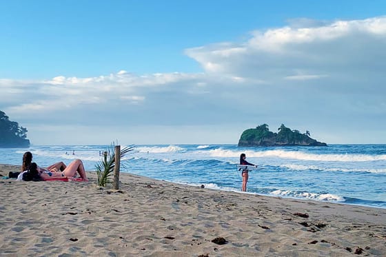 Cariblue Beach and Jungle Resort