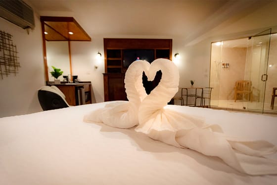 Sybaris Pool Suites Downers Grove