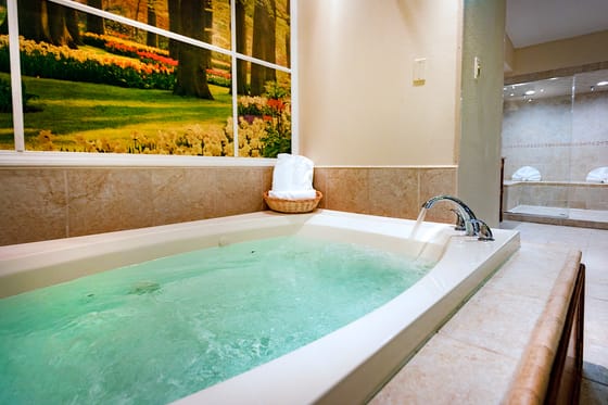 Sybaris Pool Suites Indianapolis