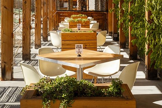 Ace Hotel & Swim Club