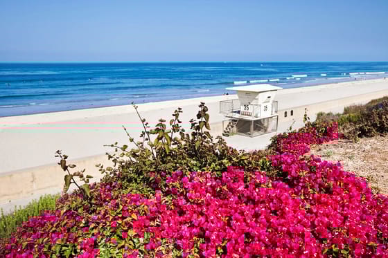 Sheraton Carlsbad Resort and Spa