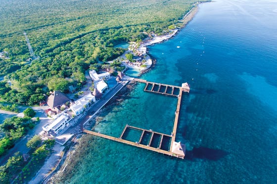 Dolphin Discovery Isla Mujeres
