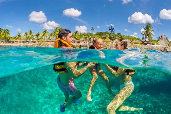 Dolphin Discovery Cozumel at Chankanaab Park